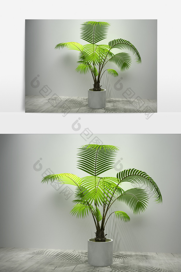 植物景观棕树盆栽3D模型