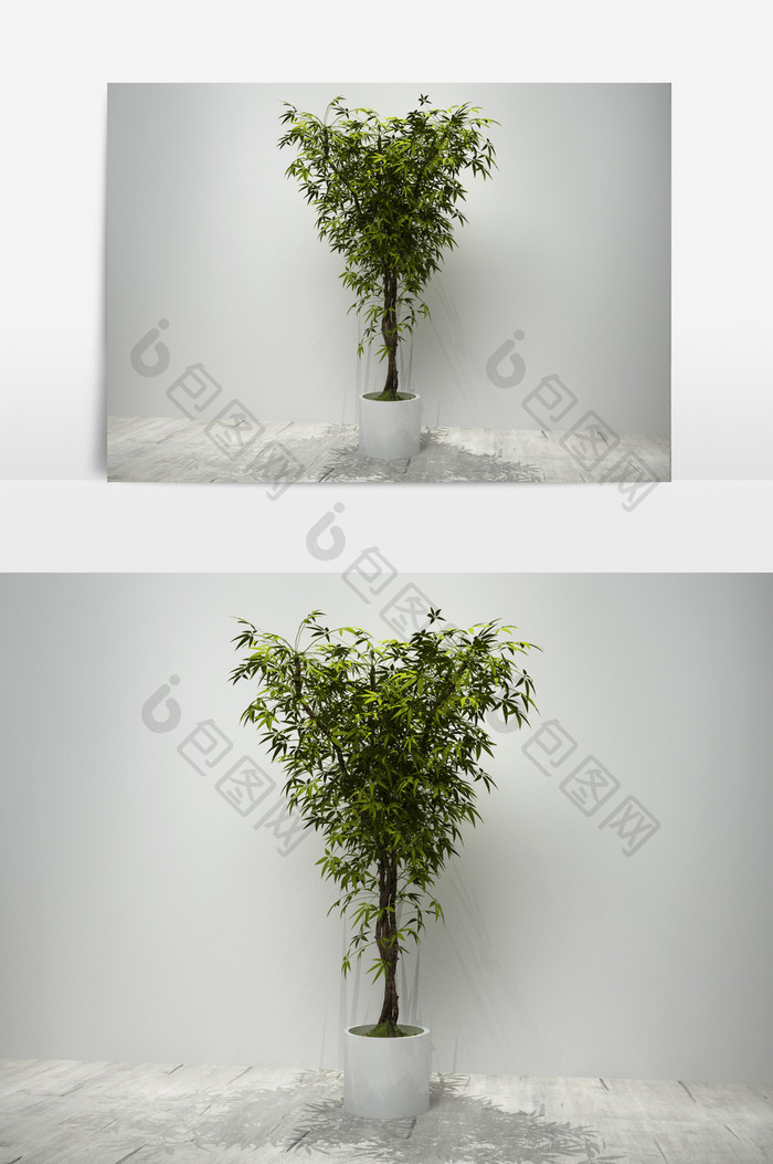 细叶植物景观盆栽3D模型