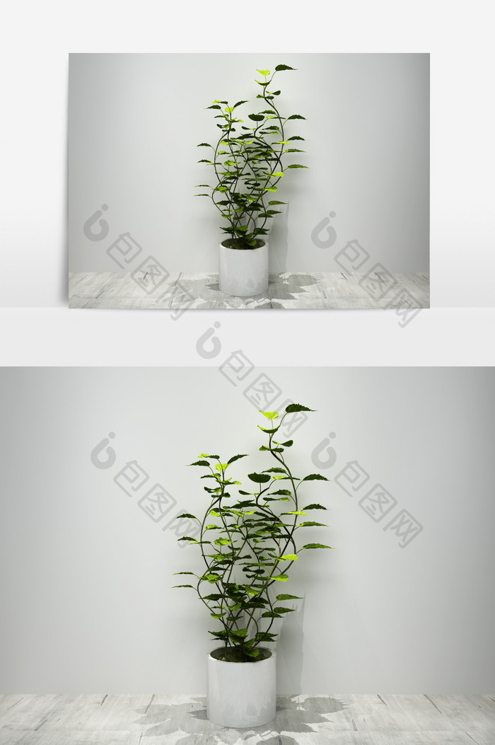 绿萝植物景观盆栽3D模型