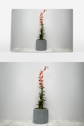 鲜花景观植物盆栽3D模型