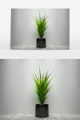 绿色景观植物盆栽3D模型