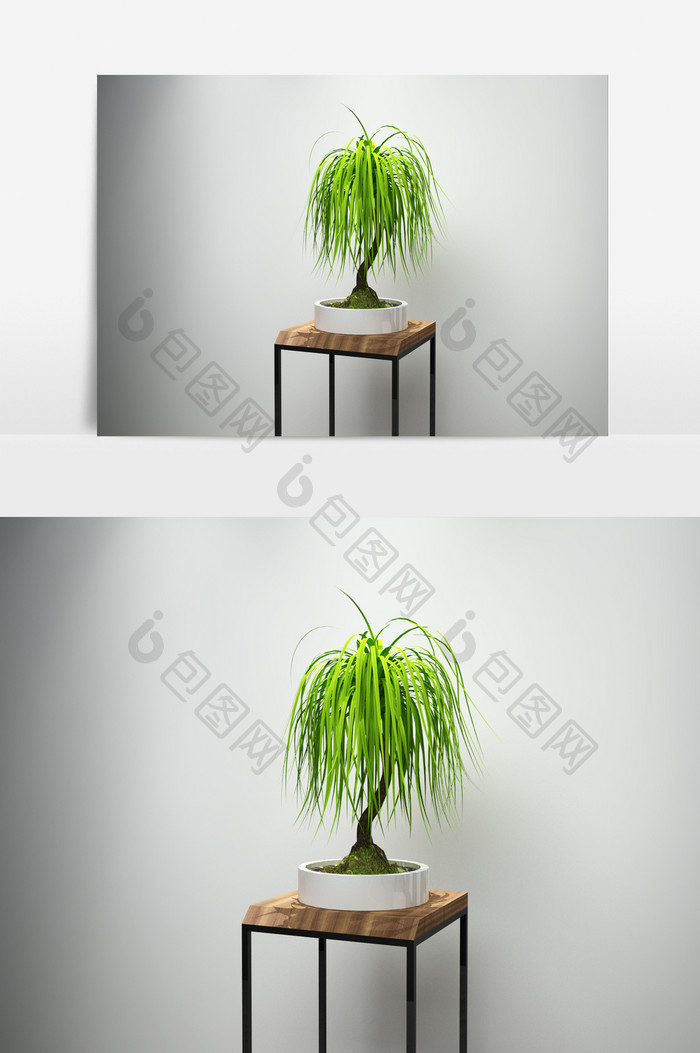 柳树盆栽景观植物3D模型