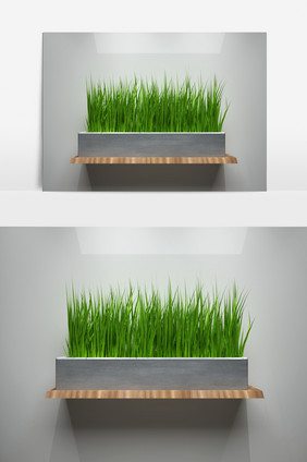 室内盆栽景观植物3D模型