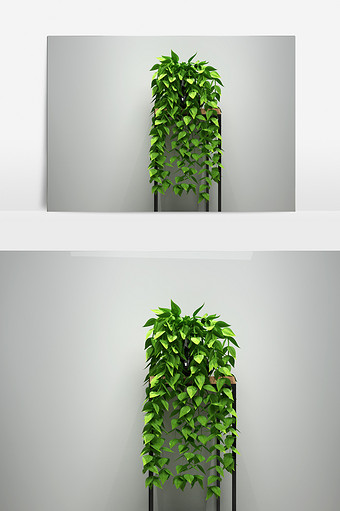 室内吊兰盆栽景观植物3D模型图片