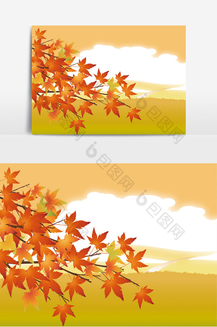 秋天的枫叶图片图片