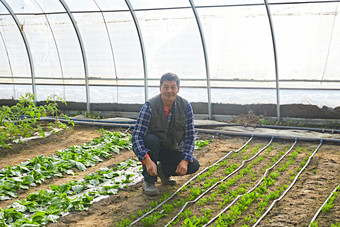 冬季在种植绿色蔬菜大棚工作的农民伯伯