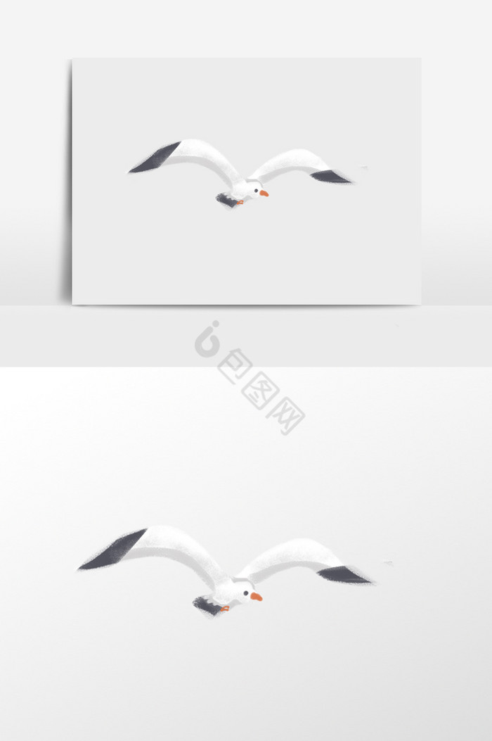 海鸥插画图片