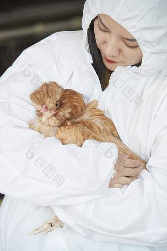 身穿防护服怀抱家禽的年轻女性饲养员