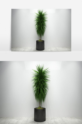 绿化植物景观3D模型