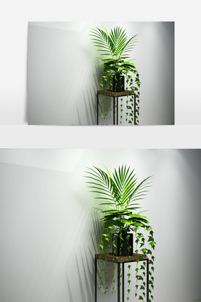 客厅植物景观3D模型