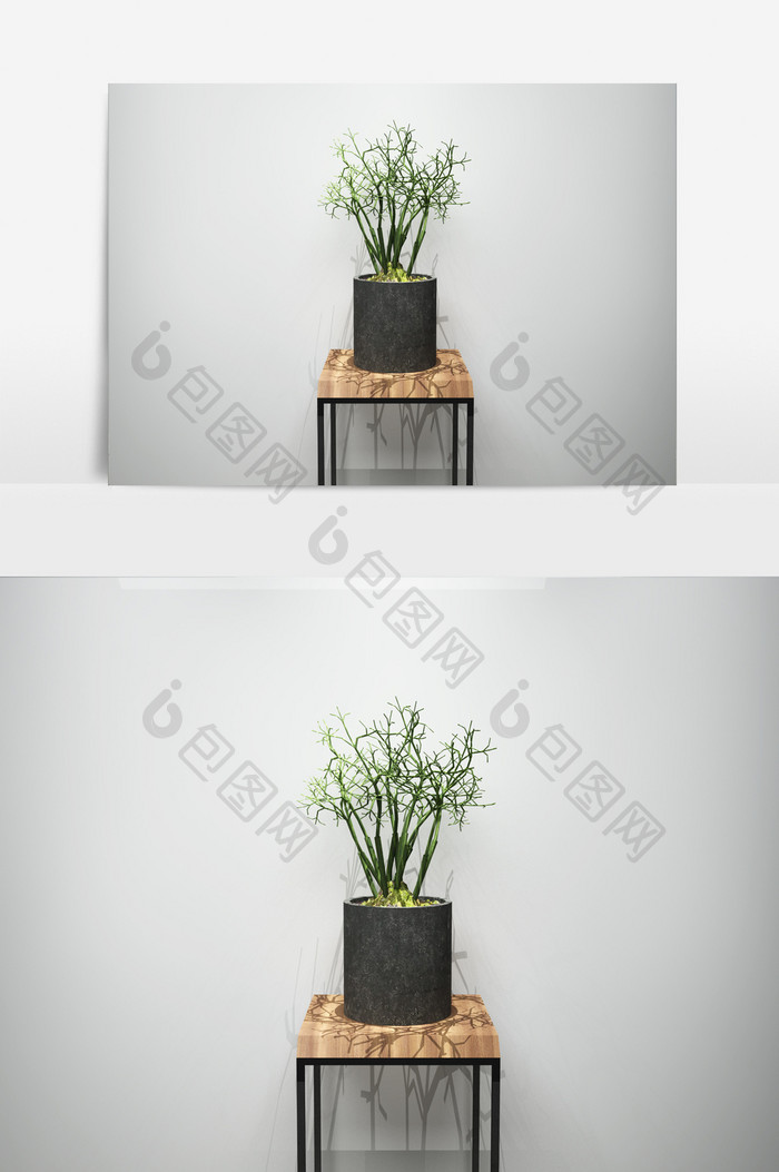 盆栽景观植物3D模型