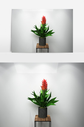 鲜花植物景观3D模型