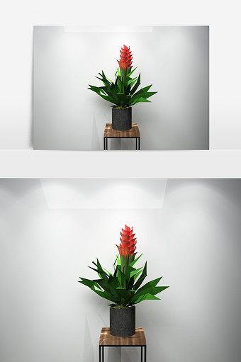 鲜花植物景观3D模型图片