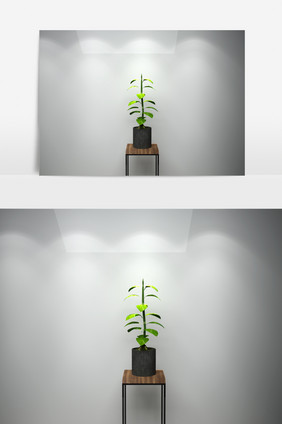 植物景观3D模型