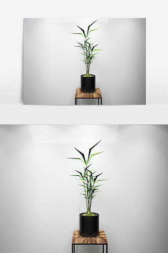 植物景观花草3D模型图片