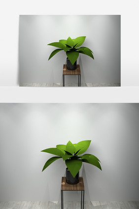 植物景观绿化3D模型