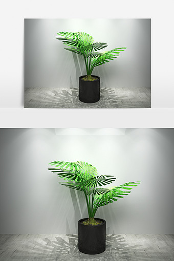 室内植物绿化景观3D模型图片