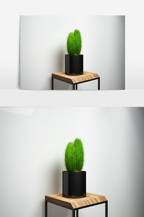 仙人掌绿化植物景观3D模型