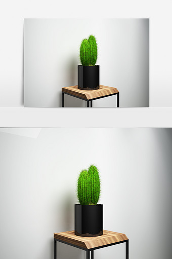 仙人掌绿化植物景观3D模型图片