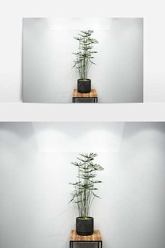 绿色景观化植物3D模型图片