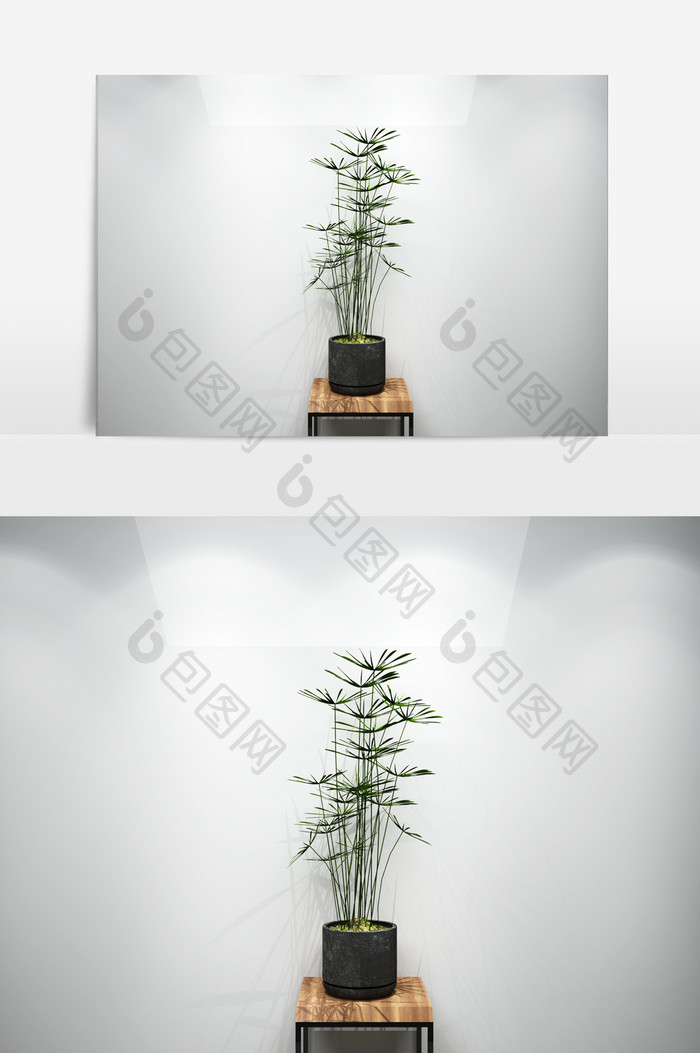 绿色景观化植物3D模型