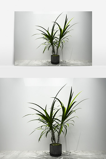 室内绿色景观植物3D模型图片