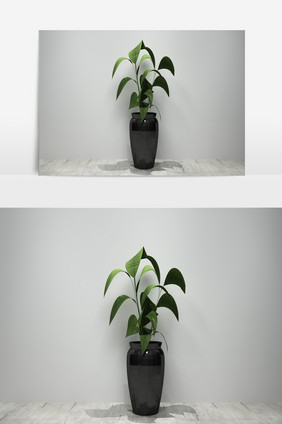 室内绿化景观植物3D模型