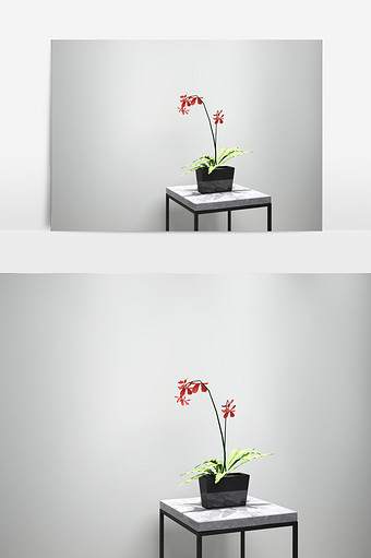 室内绿化景观兰花植物模型图片