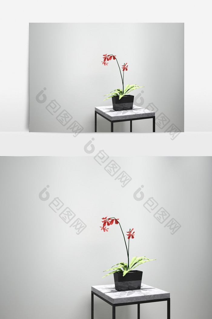 室内绿化景观兰花植物模型
