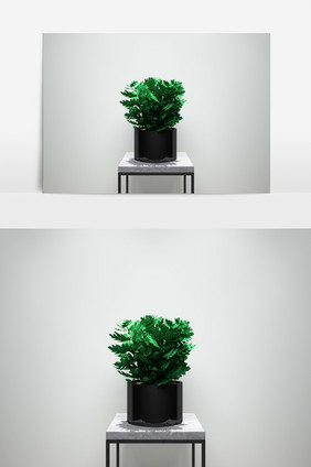 园艺绿化景观植物3D模型