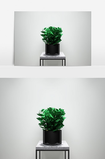 园艺绿化景观植物3D模型图片