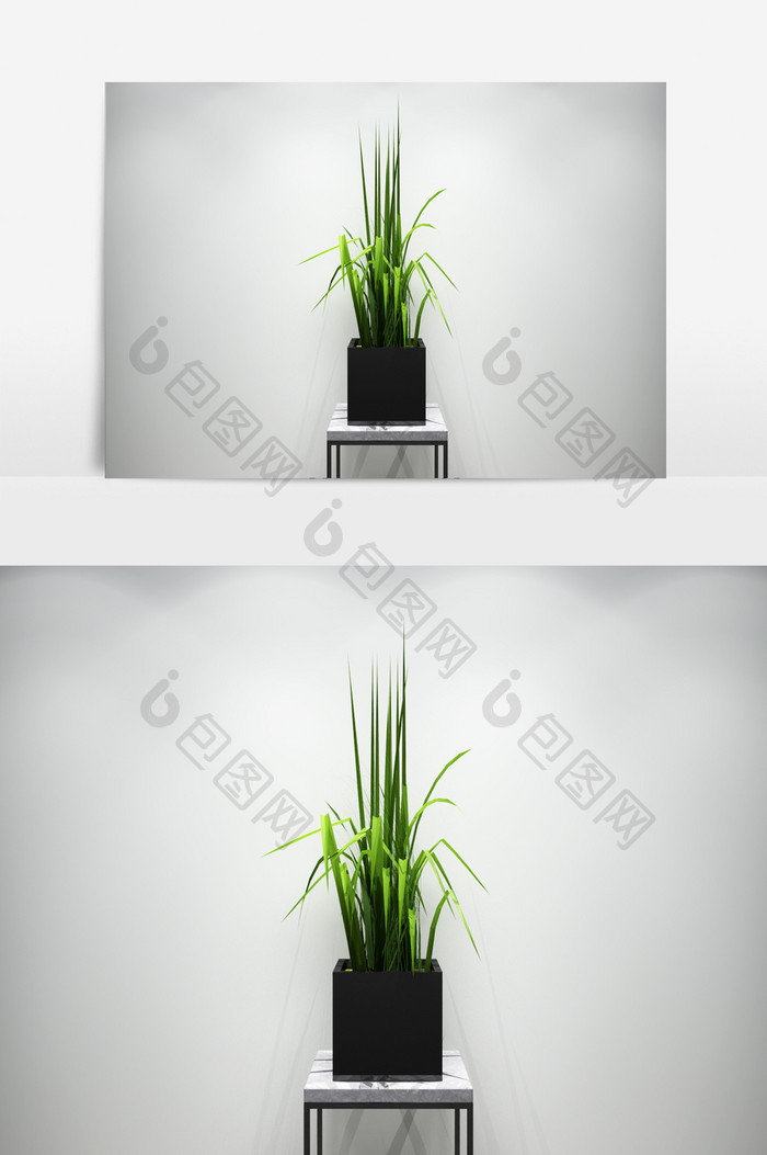 绿化景观植物3D模型