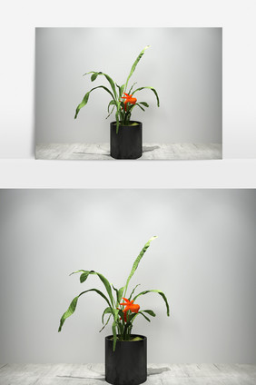 鲜花园艺植物3D模型