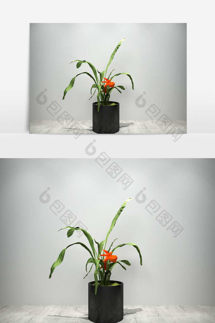 鲜花园艺植物3D模型