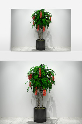 园艺景观植物3D模型