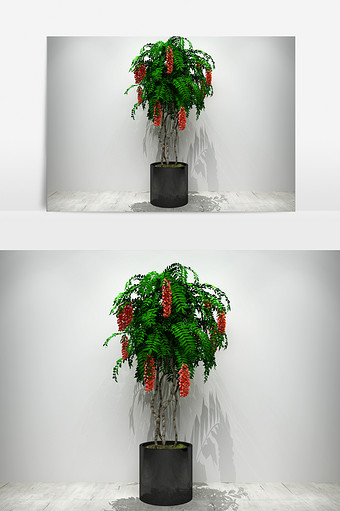 园艺景观植物3D模型图片