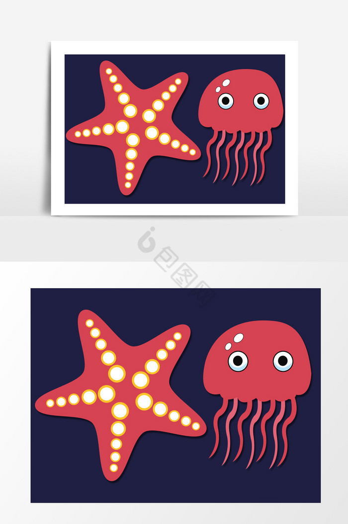 海底生物海星水母图片