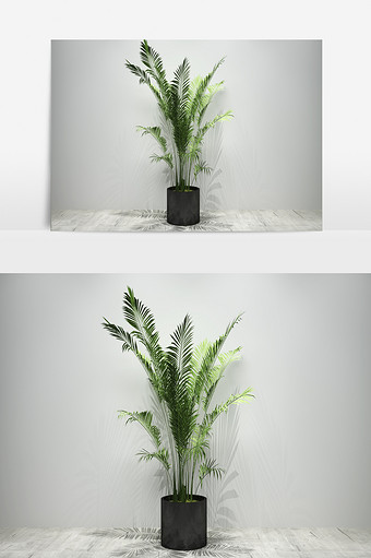 室内景观植物3D模型定制图片