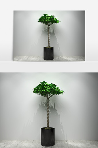 定制园艺景观植物3D模型图片
