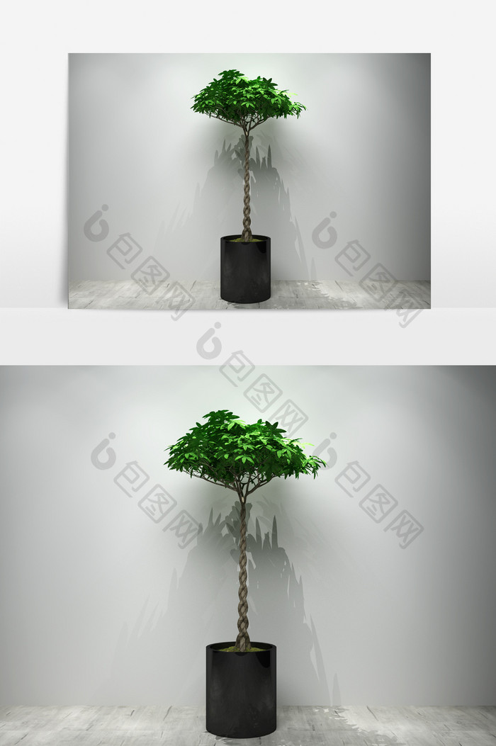 定制园艺景观植物3D模型