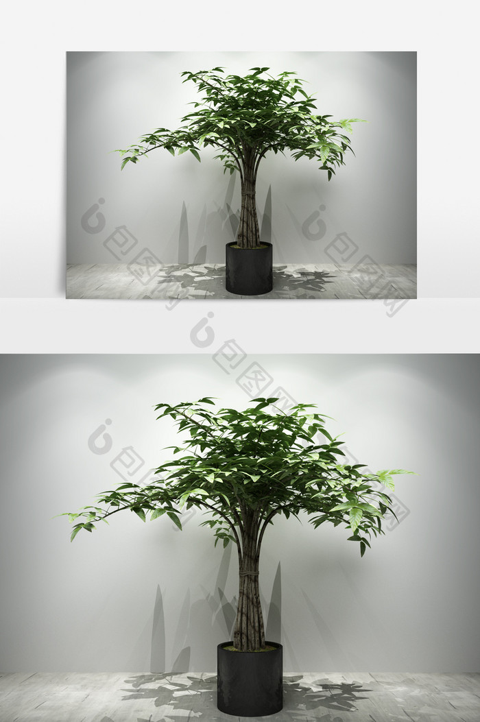 景观园艺植物定制3D模型