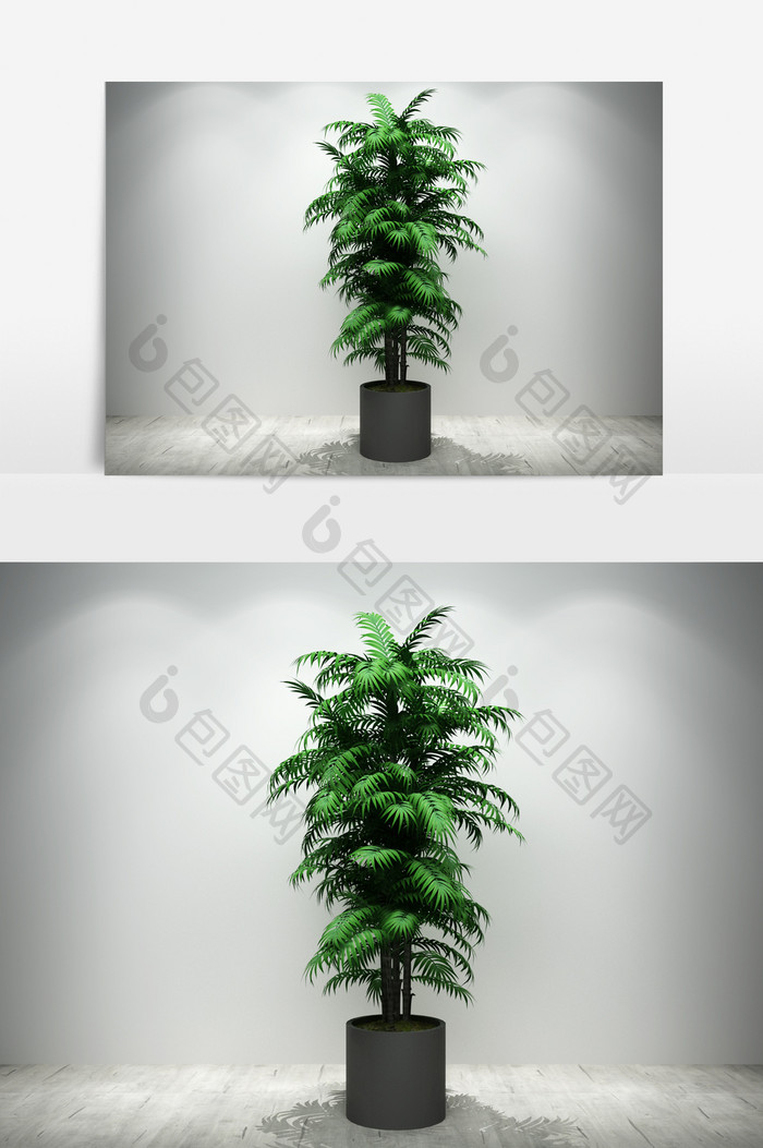 棕树园艺景观植物3D模型