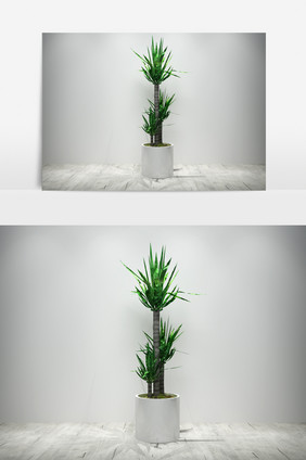 园艺景观绿化植物3D模型