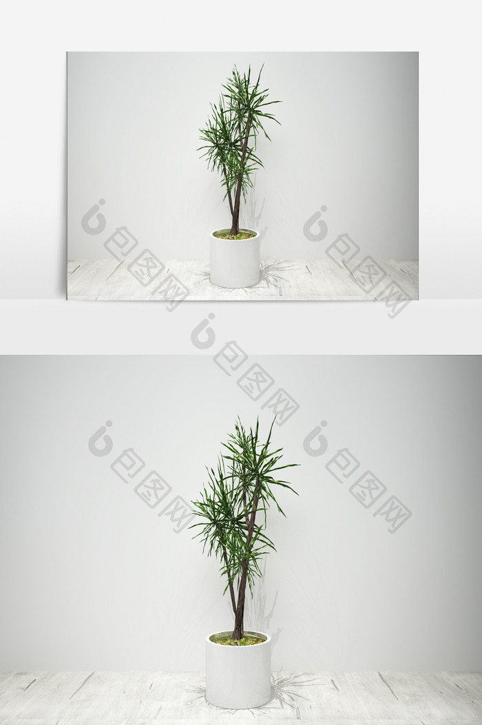 园艺绿化植物景观3D模型