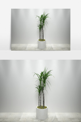 沙滩景观植物3D模型