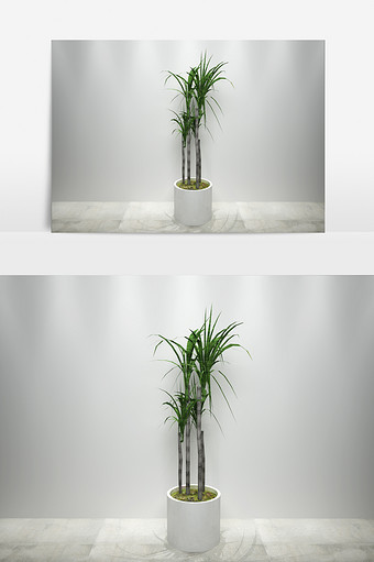 沙滩景观植物3D模型图片