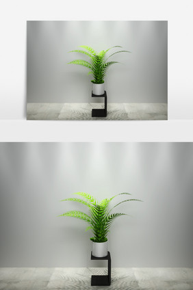 园艺植物景观盆栽3D模型