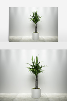 园艺景观绿化植物3D模型