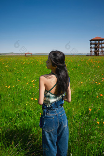 盛夏在草原湿地公园游玩的姑娘