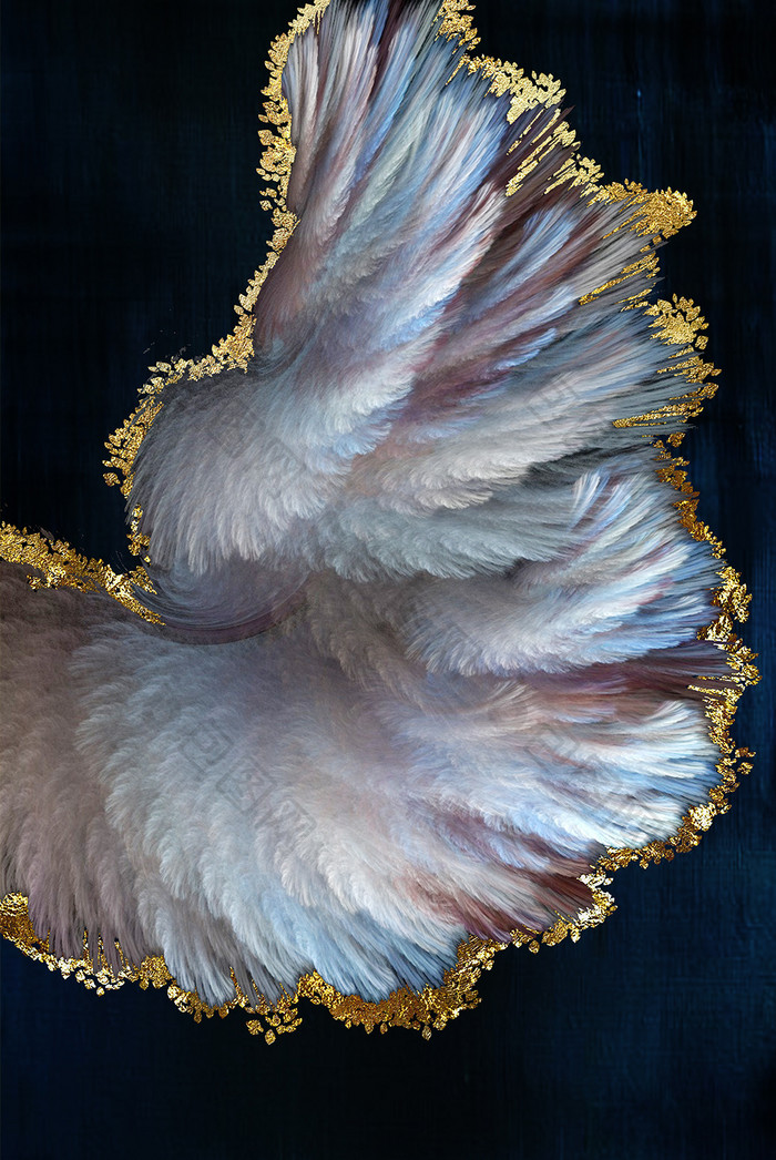 抽象深色北欧抽象彩色羽毛金箔素材装饰画